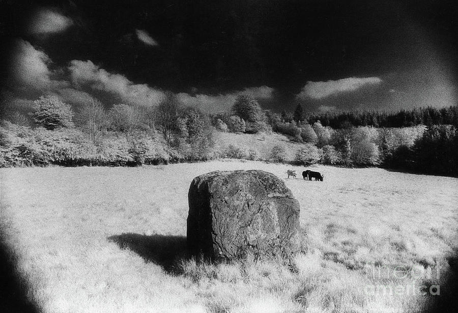 Nature Photograph - the Fiddlers Stone, County Offaly, Ireland by 