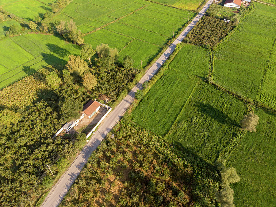 The Fields-3 by Okan YILMAZ The Fields-3 by Okan YILMAZ