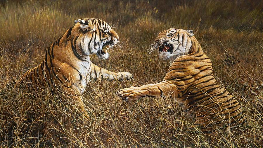 The Fight - Tigers Feud by Alan M Hunt Painting by Alan M Hunt