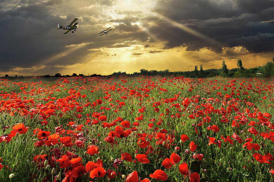 Sunset Photograph - The final sortie WWI version by Gary Eason