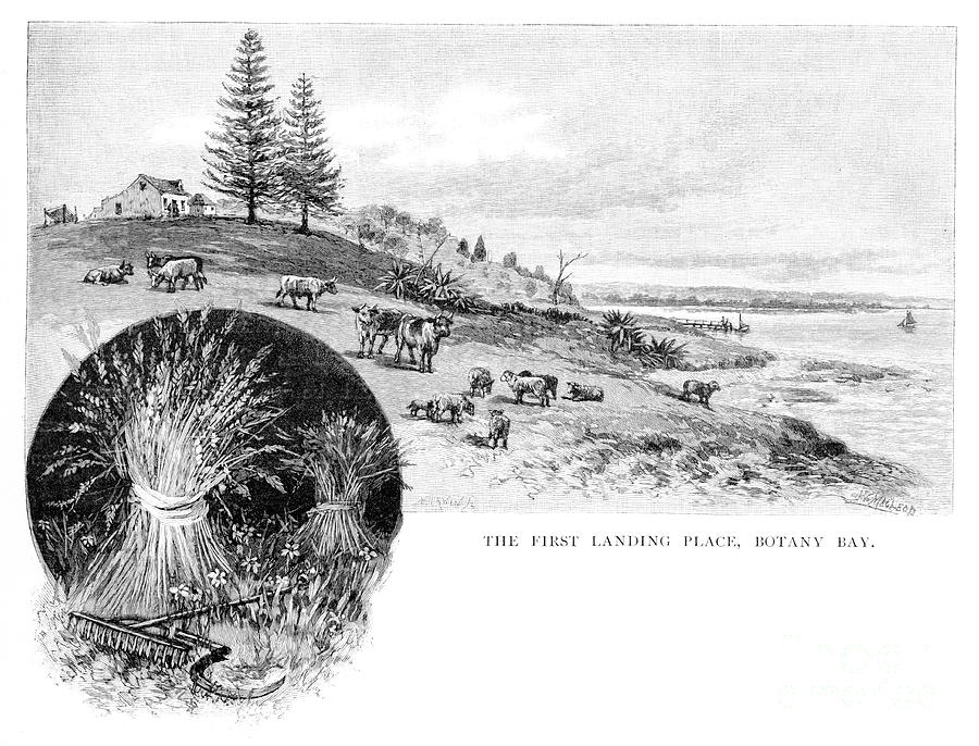 The First Landing Place, Botany Bay Drawing by Print Collector