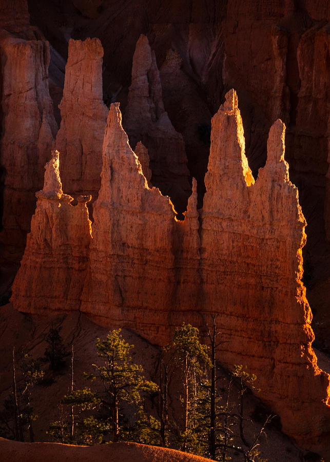 Landscape Photograph - The First Lights In Bryce Canyon by Dennis Zhang