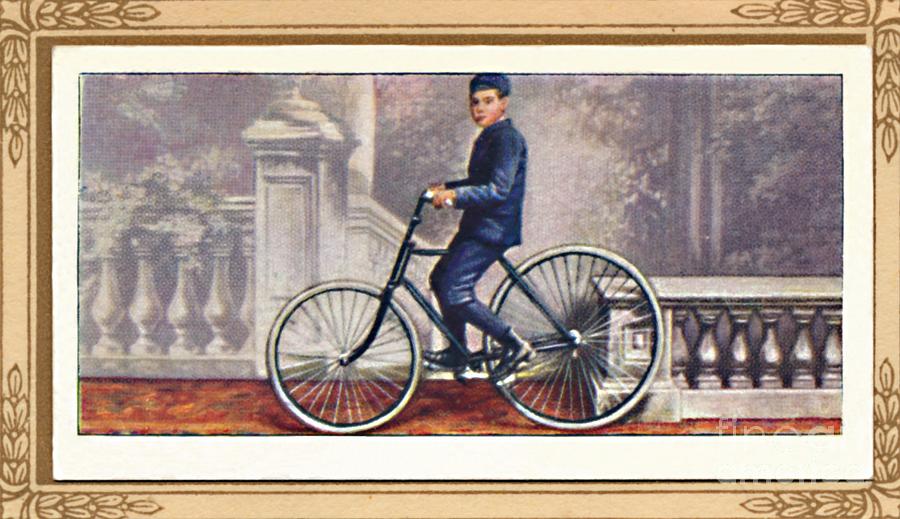 The First Pneumatic-tyred Bicycle Drawing by Print Collector
