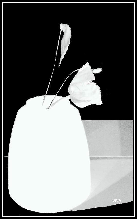 The First Rose  - Remembering - Silhouette Photograph by VIVA Anderson