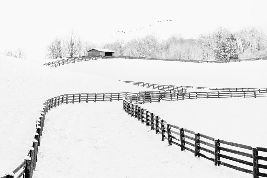 Winter Photograph - The First Snow by Steven Zhou