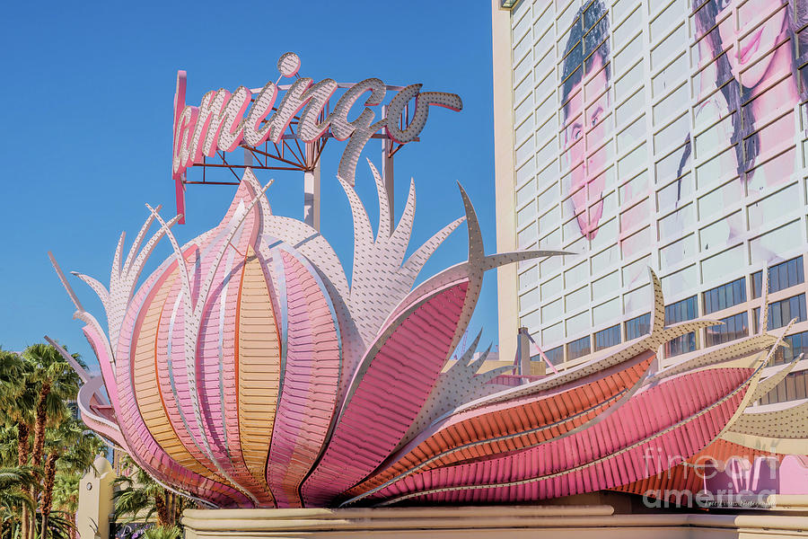 The Flamingo Main Entrance Side Profile in the Afternoon Wide Photograph by Aloha Art