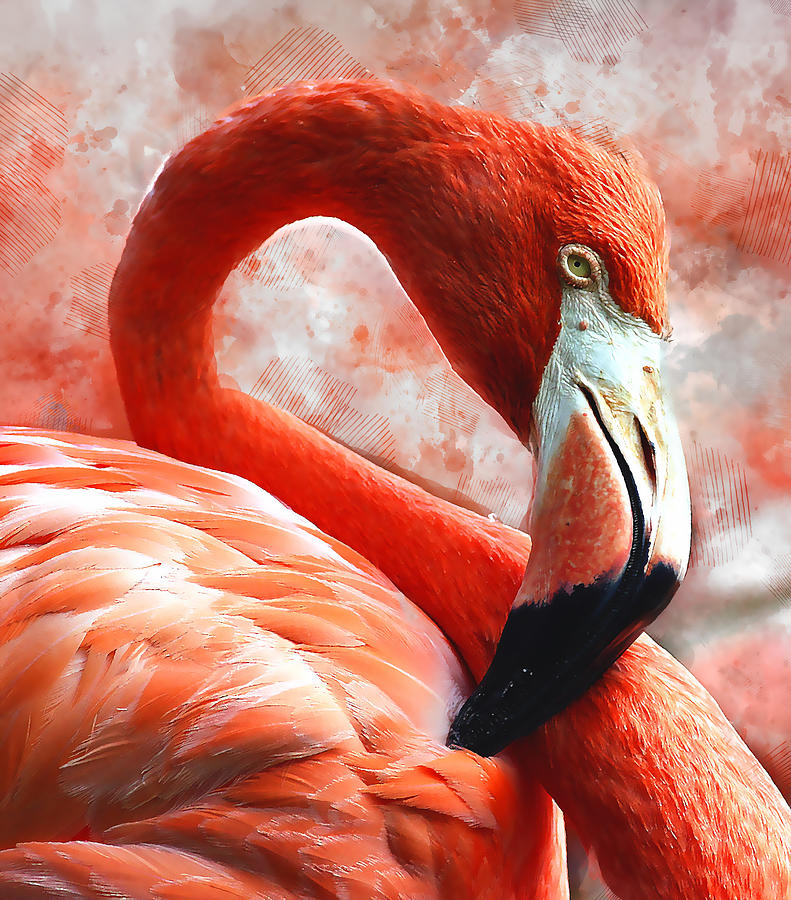 The Flamingo Mixed Media by Marvin Blaine