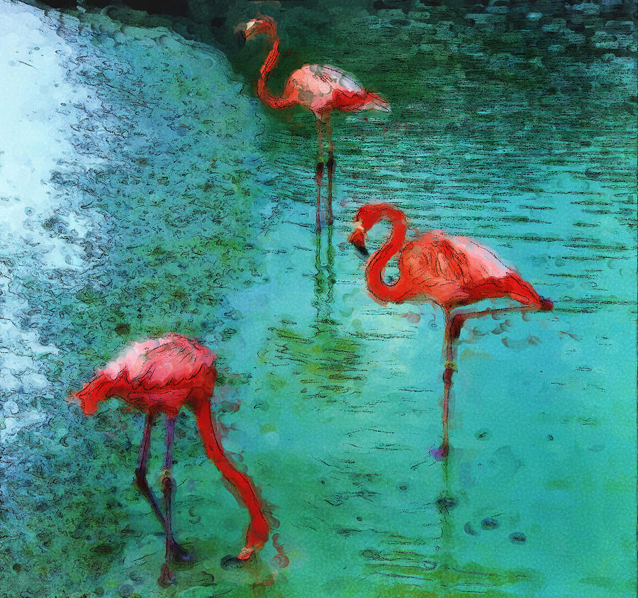 The Flamingo Trio Photograph by Richard Ortolano