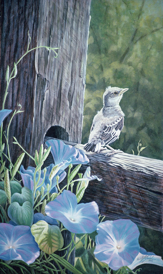 Bird Painting - The Fledgling - Young Mockingbird by Wilhelm Goebel