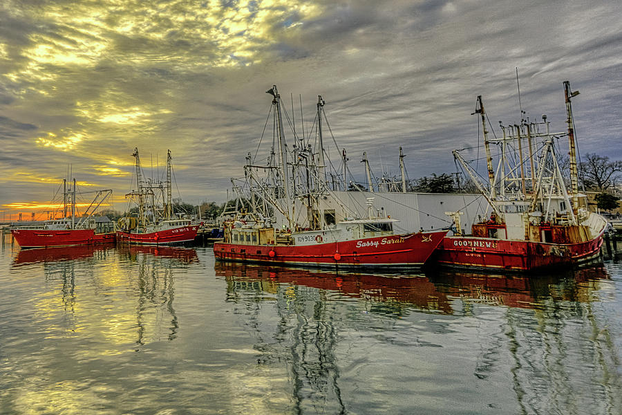 The Fleet is In by Jerry Gammon The Fleet is In by Jerry Gammon