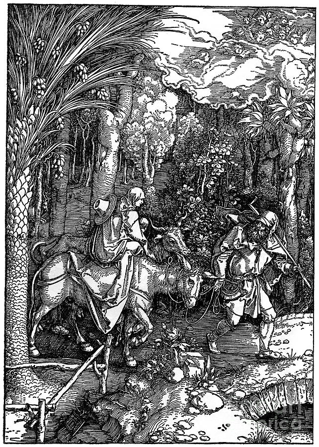 The Flight Into Egypt, 1502-1505, 1936 Drawing by Print Collector