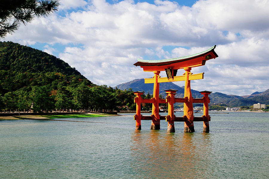 The floating Torii Photograph by Jonathan Keane