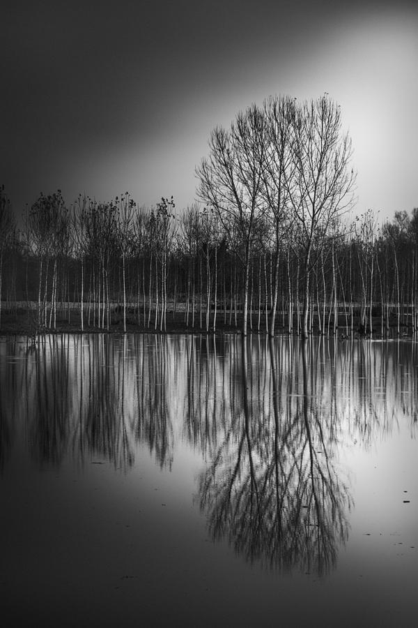 The Flood Of The River Photograph by Erminio Vanzan | Fine Art America