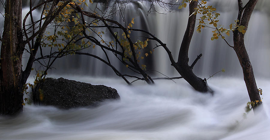 The flood waters by Stephen Riella The flood waters by Stephen Riella