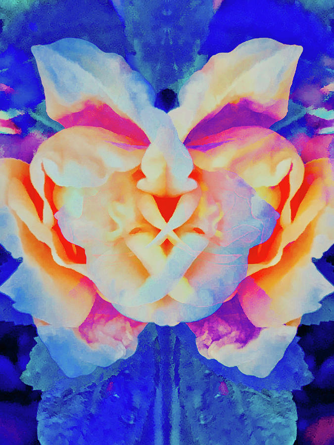 The Flower King by JimO Ogilvie The Flower King by JimO Ogilvie