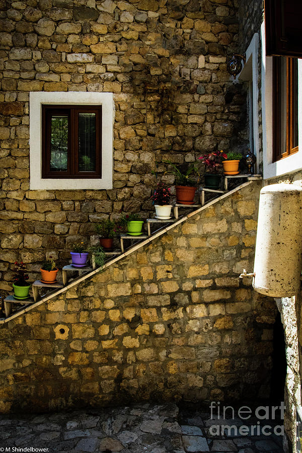 The Flower Pots Photograph by Mitch Shindelbower