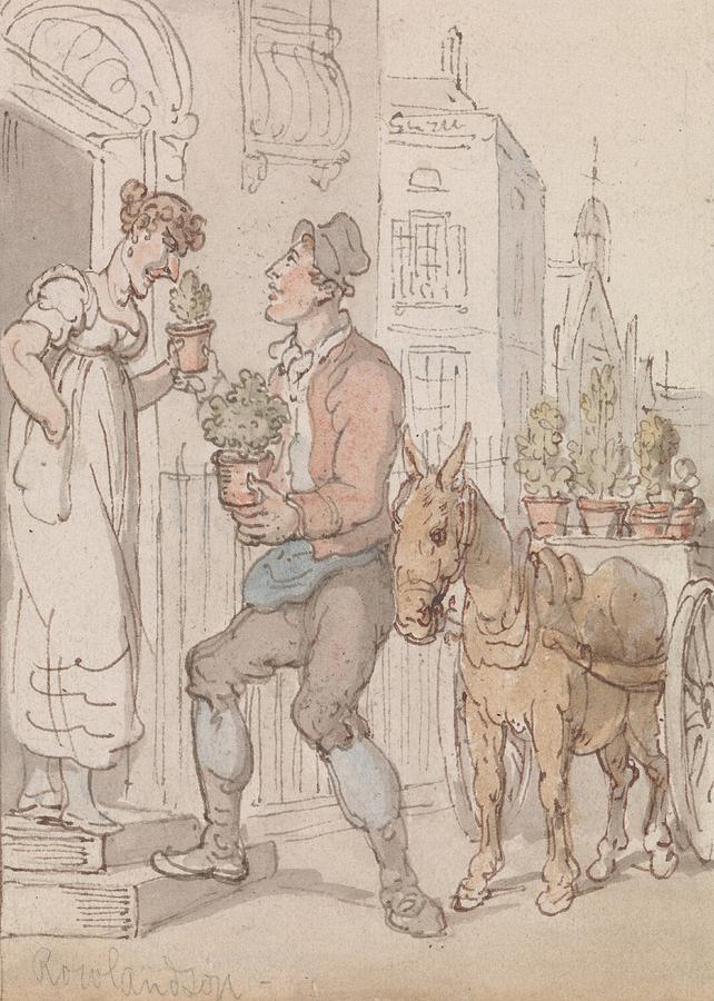 The Flower Seller Drawing by Thomas Rowlandson