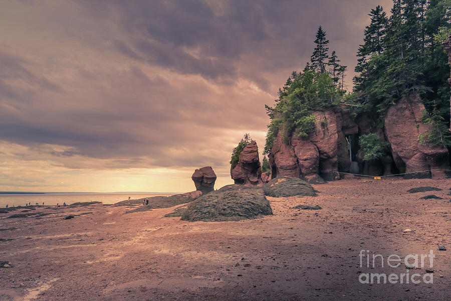 The flowerpot rocks Photograph by Claudia M Photography