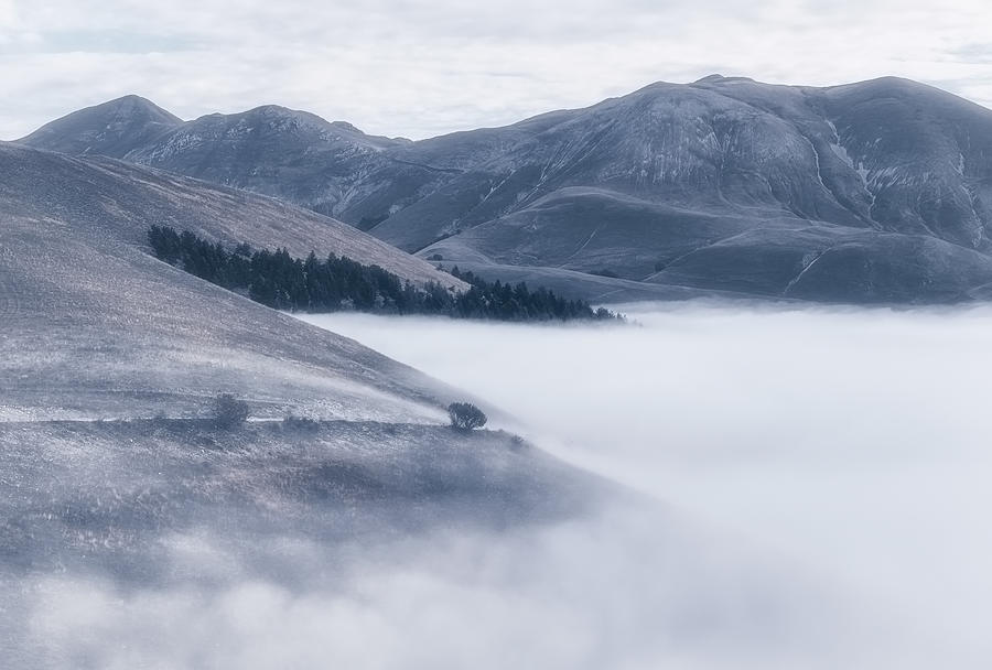 The Fog Photograph by Fabrizio Massetti