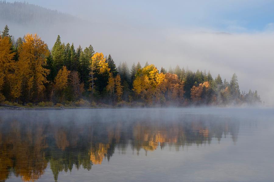 The fog has revealed fall Photograph by Lynn Hopwood