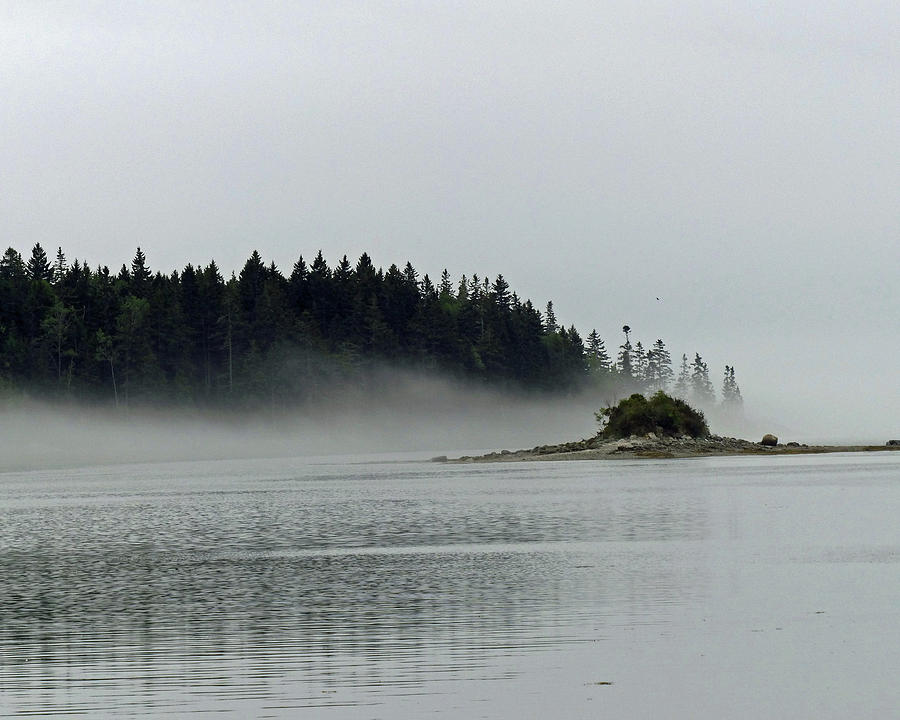 The Fog Lifts Photograph by Carl Sheffer