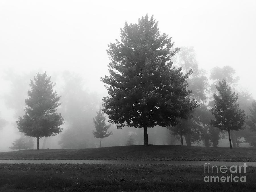 The Fog Photograph by Michael Krek