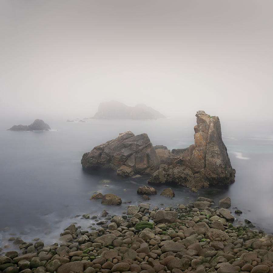 The Fog On The Beach Photograph by Elena Pueyo