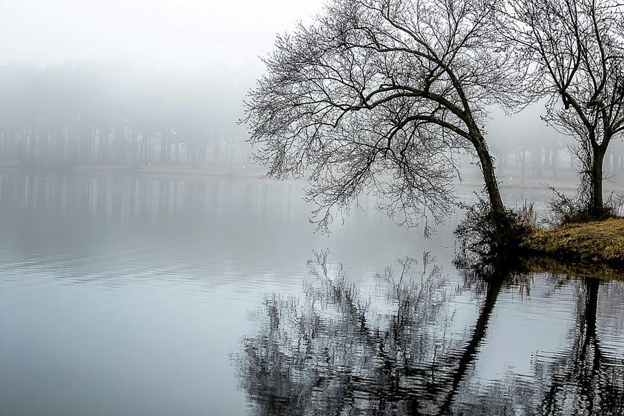 The Foggy Lake Digital Art by Ed Stines