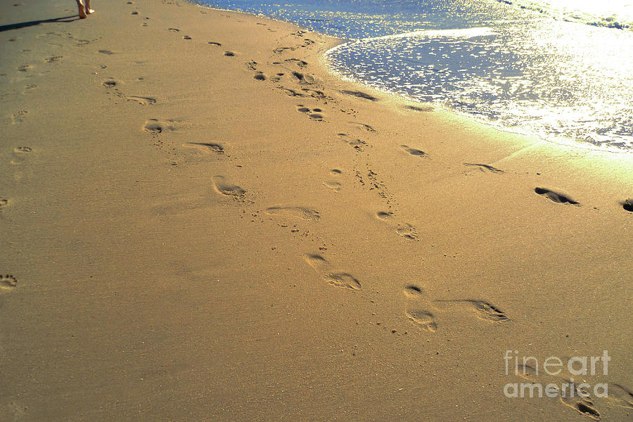 The footprints on the sand Photograph by Marina Usmanskaya