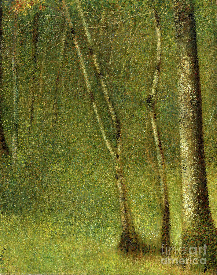 The Forest At Pontaubert Drawing by Heritage Images