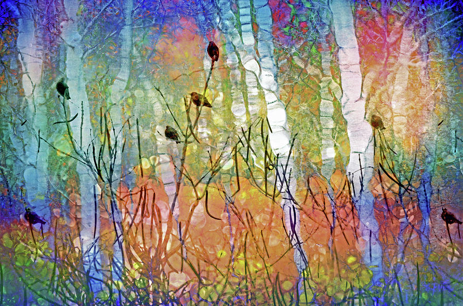 the forest leans in to listen to all the things we can not say by Tara Turner the forest leans in to listen to all the things we can not say by Tara Turner