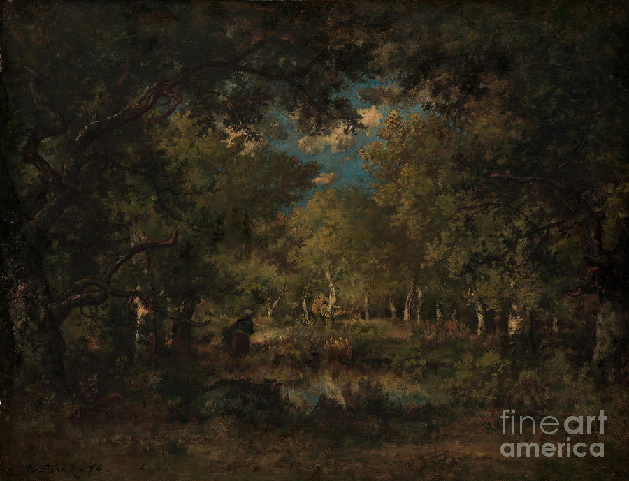 The Forest Of Fontainebleau Drawing by Heritage Images