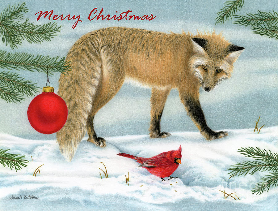 Christmas Drawing - The Fox And The Cardinal- Merry Christmas by Sarah Batalka