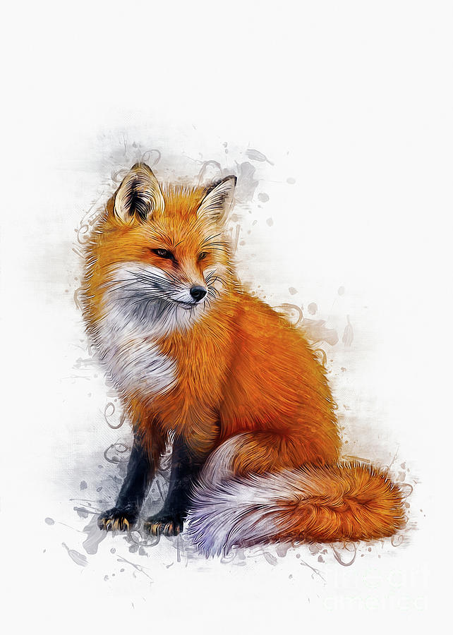 The Fox Digital Art by Ian Mitchell