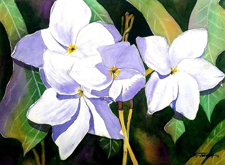 The Frangipani Flower Painting By Elwin Joseph