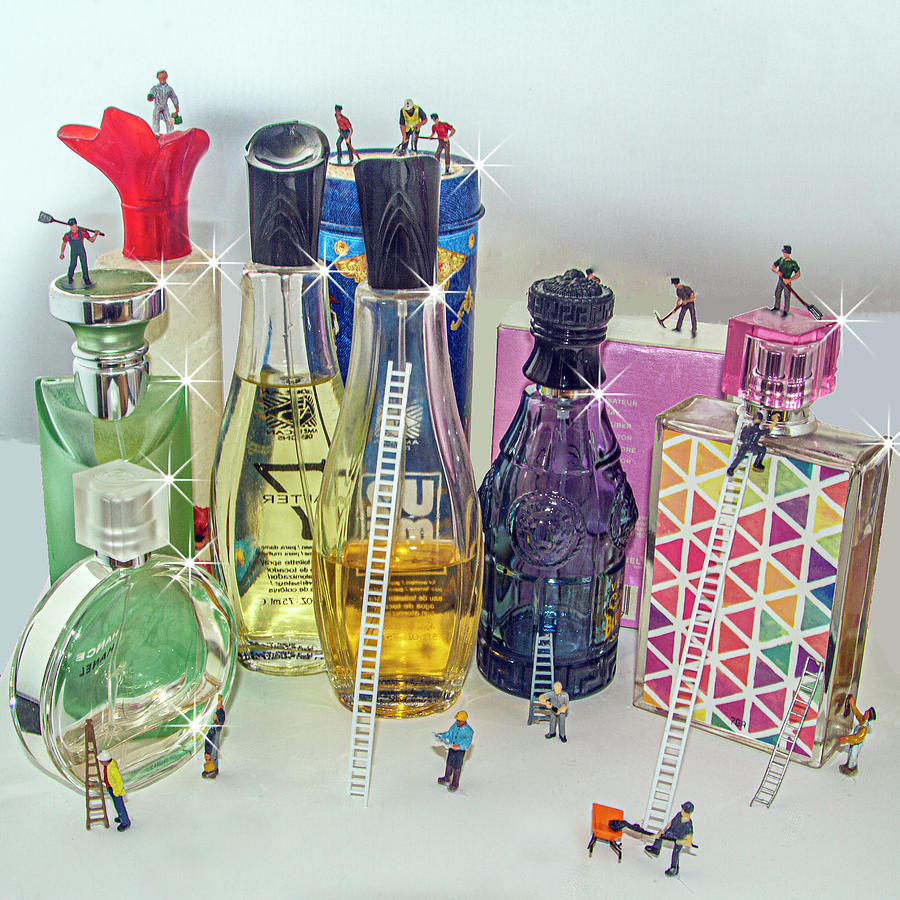The French Perfumery Company Photograph