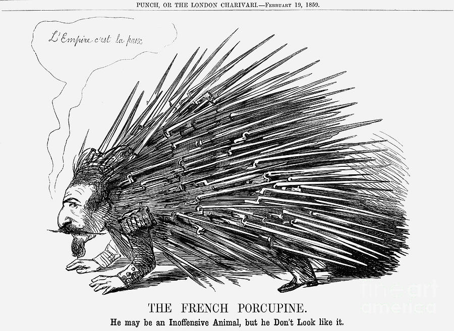 The French Porcupine, 1859 Drawing by Print Collector