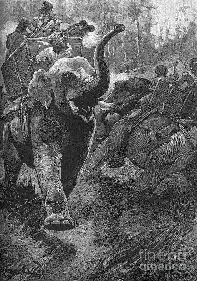 The Frightened Elephants Rushed Back Drawing by Print Collector