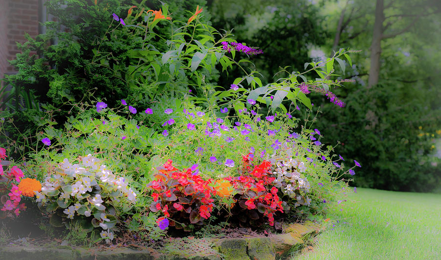 The Front Garden Photograph by Diane Lindon Coy