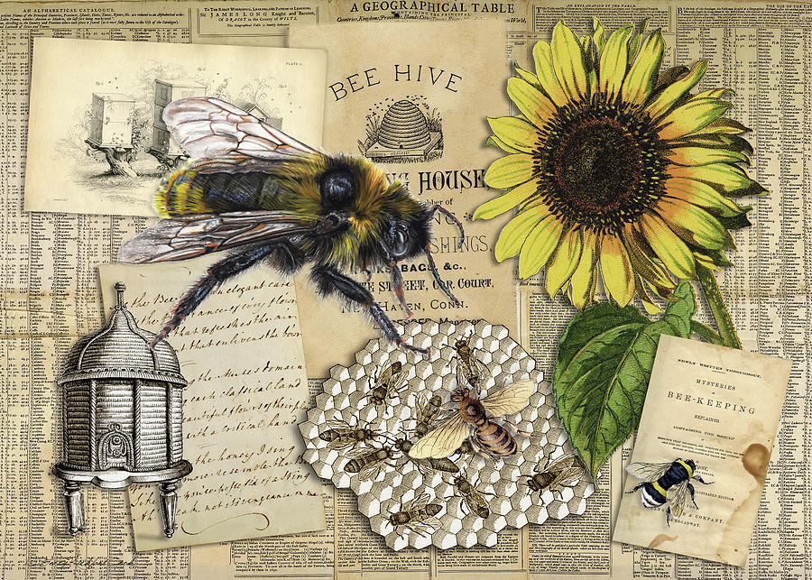 The Fuzzy Bee Digital Art by Terry Kirkland Cook