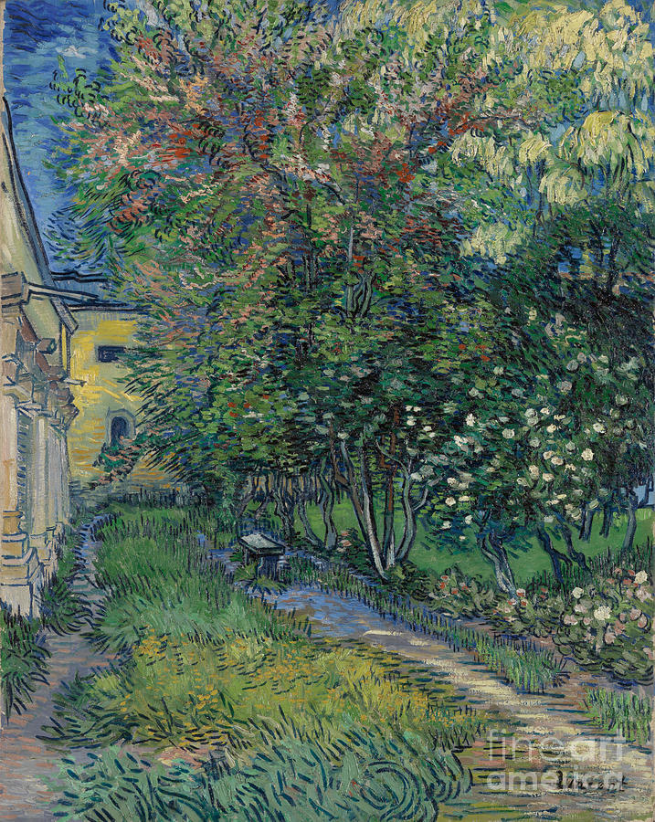 The Garden At The Asylum At Saint-remy Drawing by Heritage Images