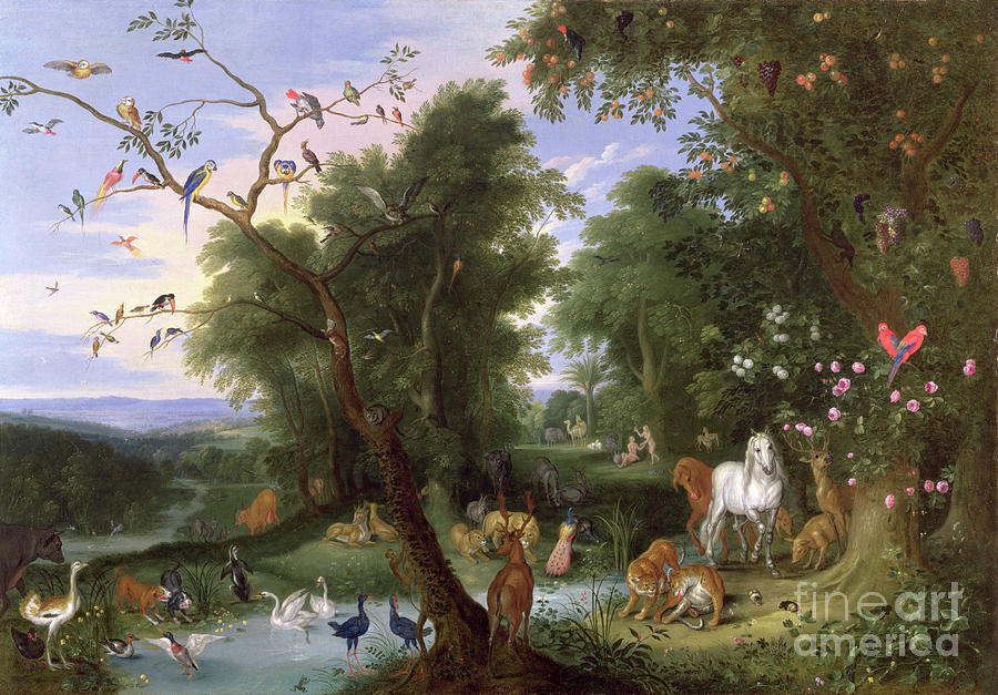 The Garden Of Eden, 1659 Painting by Jan Van Kessel