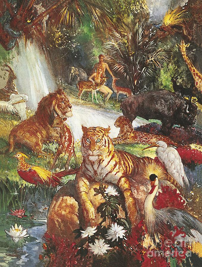 Heron Painting - The Garden Of Eden by John Millar Watt