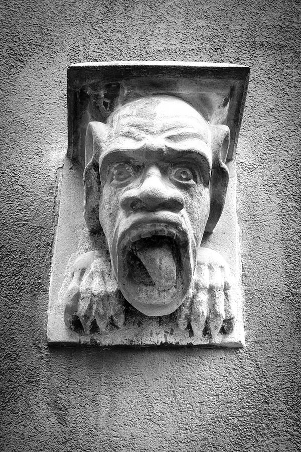 The Gargoyle of Cologne Germany Photograph by Mary Lee Dereske