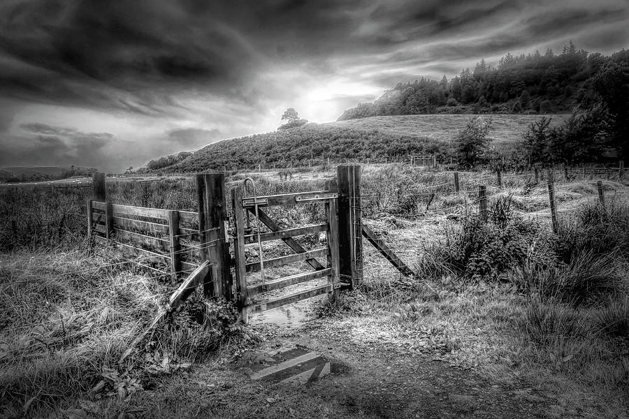 The Gate at Sunrise in Black and White Photograph by Debra and Dave Vanderlaan