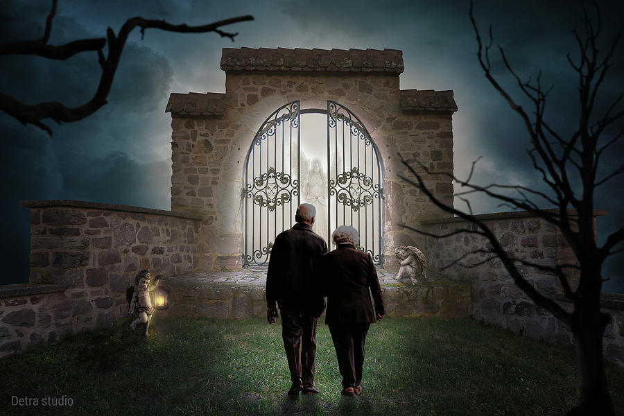 The Gate Digital Art by Dejan Travica