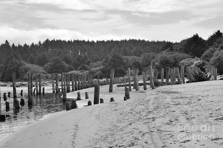 Piers Photograph - The Gathering by Jeni Gray Piers Photograph - The Gathering by Jeni Gray
