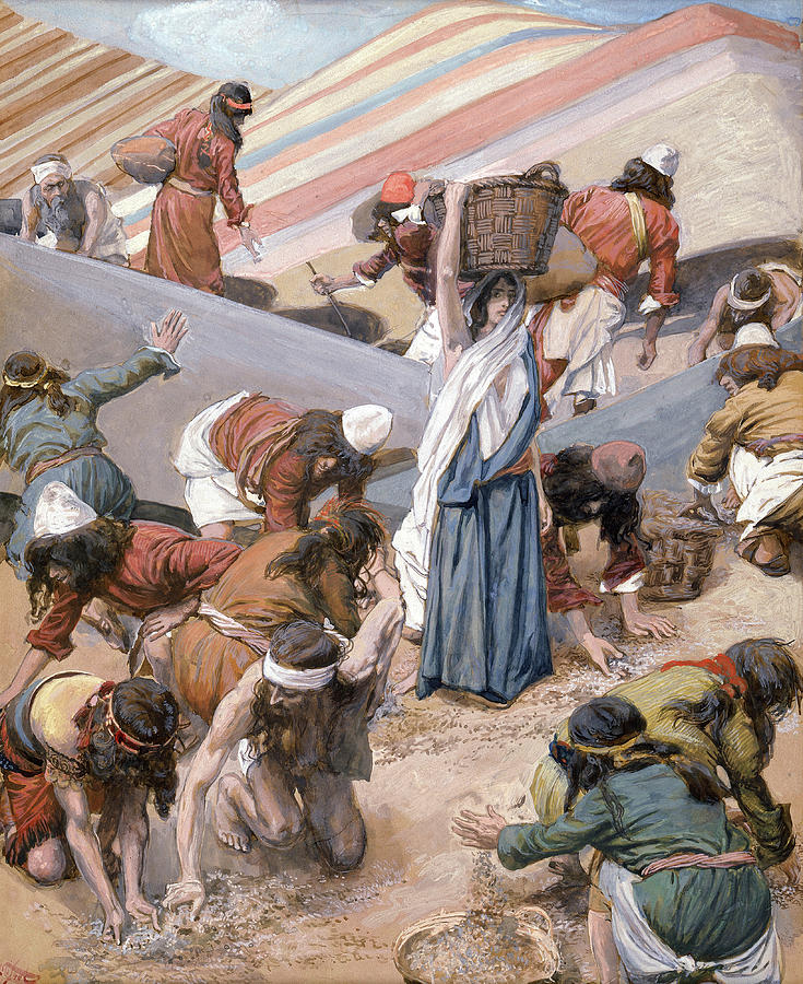 The Gathering of the Manna 1902 Painting by James Tissot Pixels