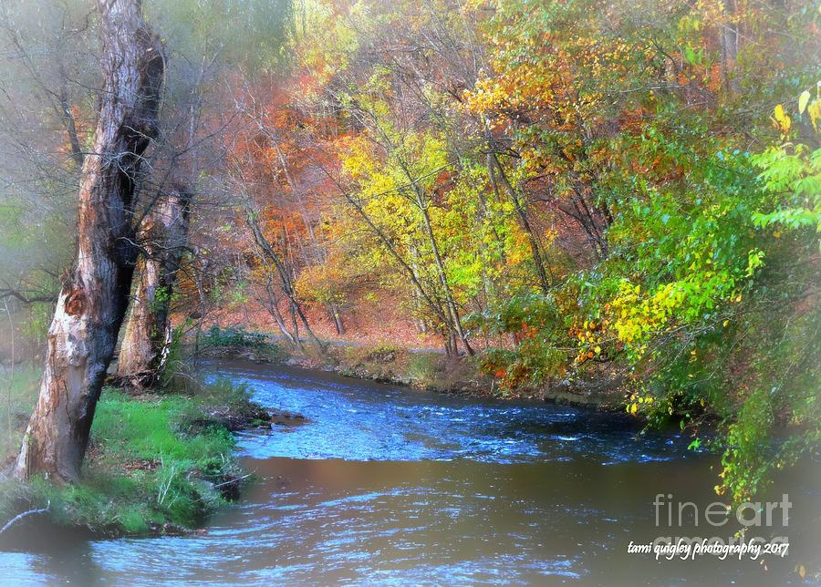 Fall Photograph - The Gentle Autumn by Tami Quigley