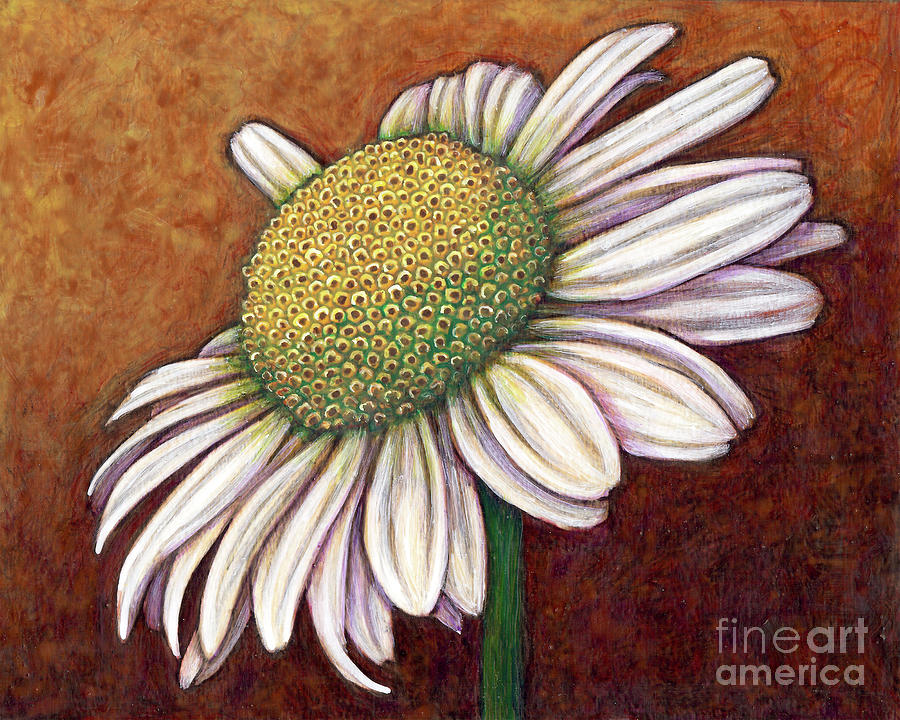 The Gentleman Daisy Painting by Amy E Fraser